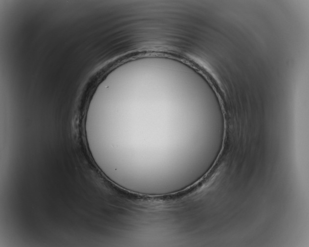 X0000089940971200706290812