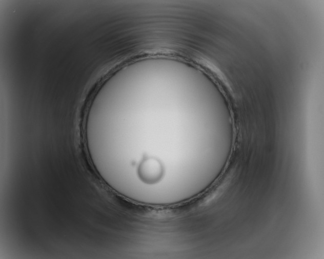 X0000089940978200706290812
