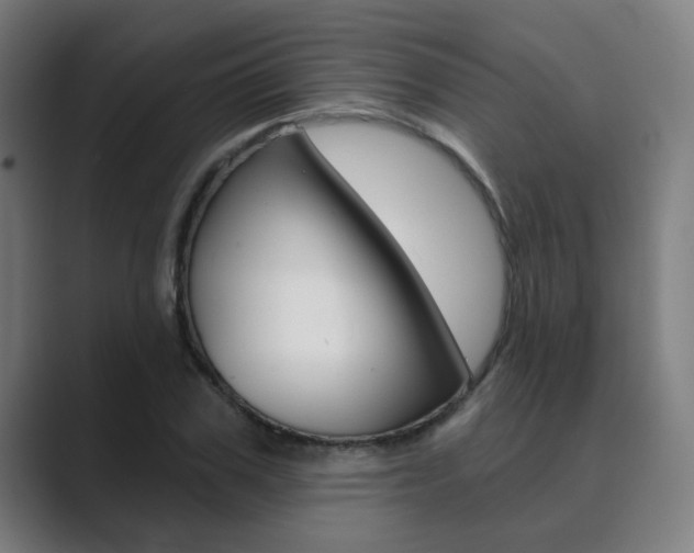 X0000089940979200706290812