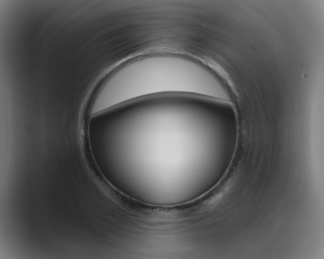 X0000089940981200706290812