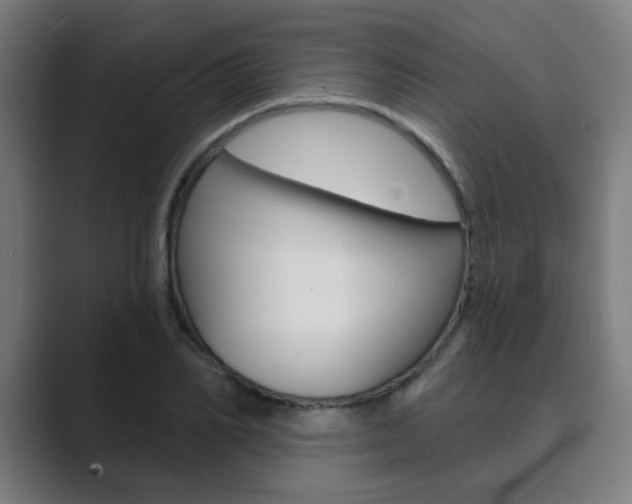 X0000089940982200706290812