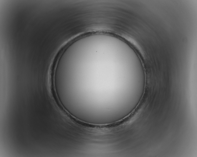 X0000089940983200706290812