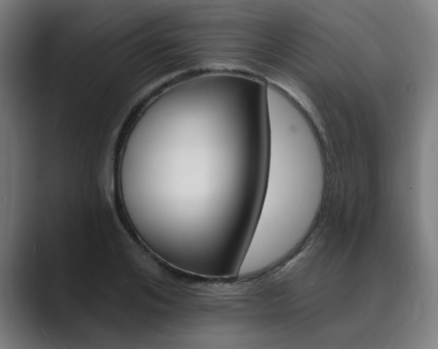 X0000089940984200706290812