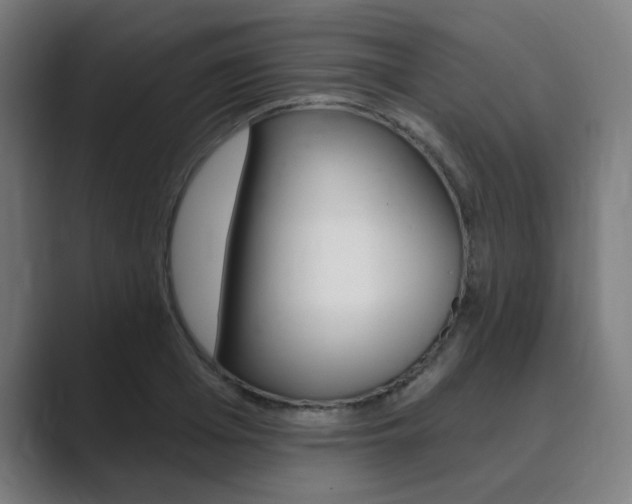 X0000089940985200706290812
