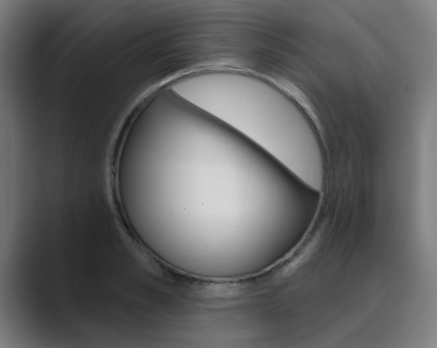 X0000089940989200706290812