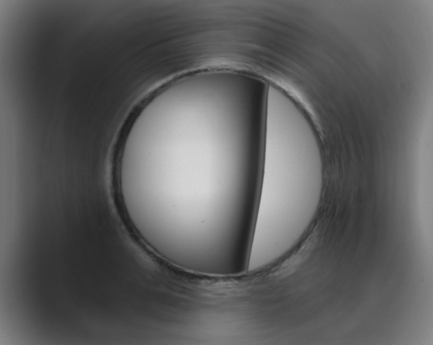 X0000089940991200706290812