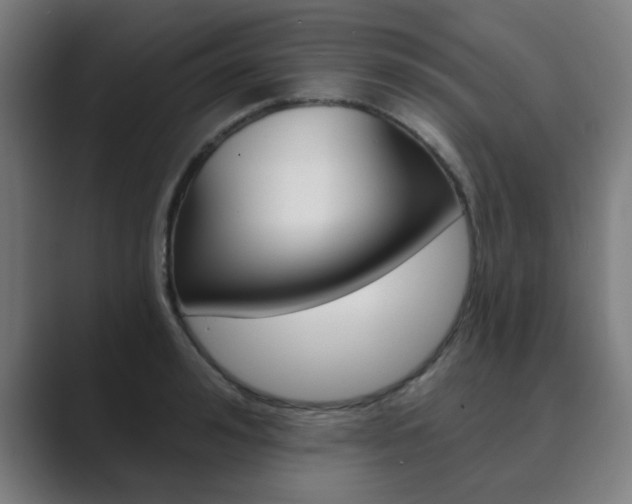 X0000089940992200706290812
