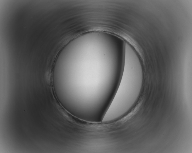 X0000089940993200706290812