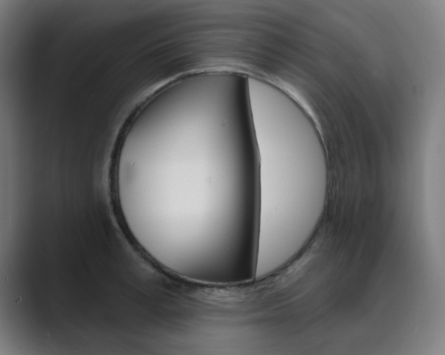 X0000089940995200706290812