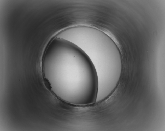 X0000089940996200706290812
