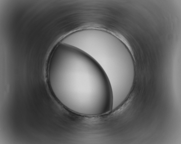 X0000089940997200706290812