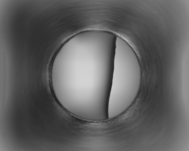 X0000089940998200706290812