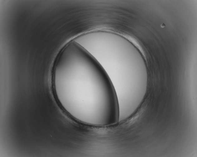 X0000089940999200706290812