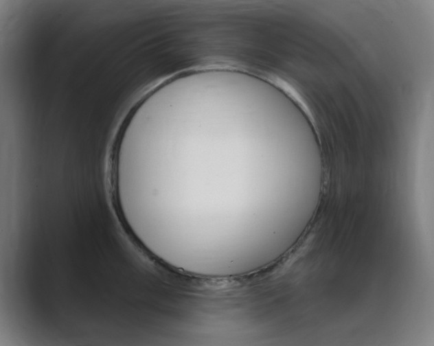 X0000089941003200706290812