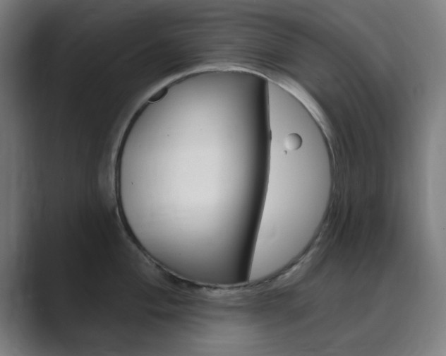 X0000089941004200706290812