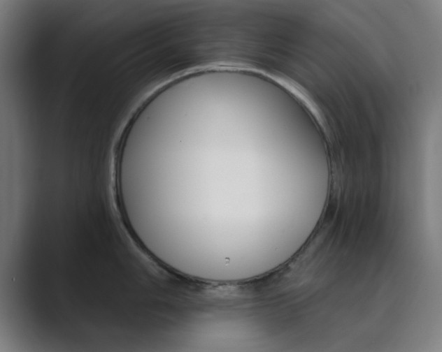 X0000089941006200706290812