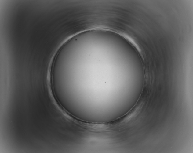 X0000089941007200706290812