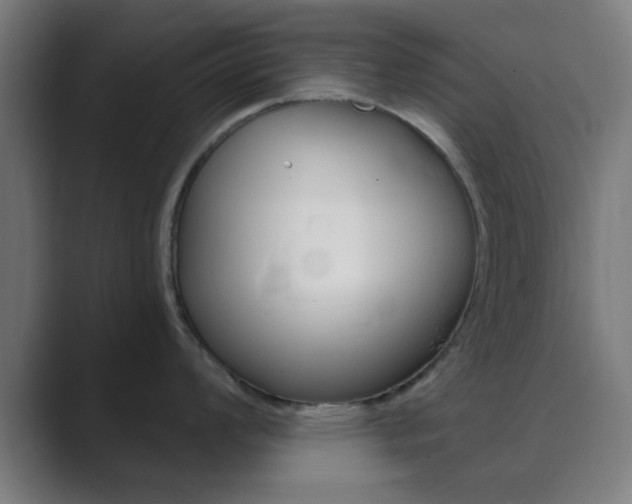 X0000089941008200706290812