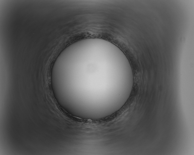 X0000089941009200706290811