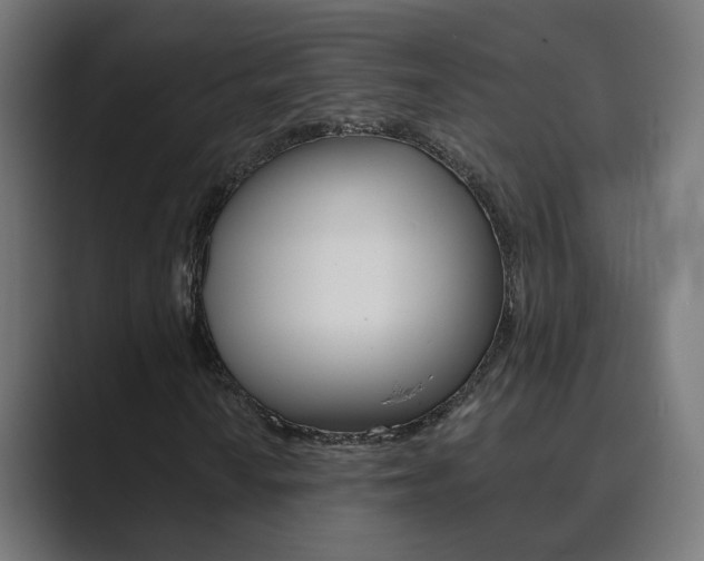 X0000089941010200706290811