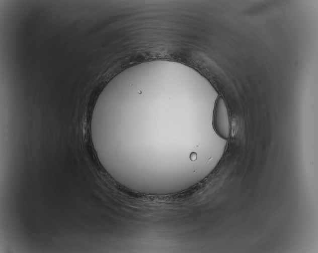 X0000089941011200706290811