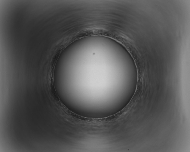 X0000089941014200706290811