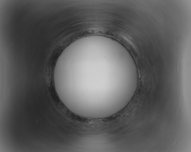 X0000089941015200706290811