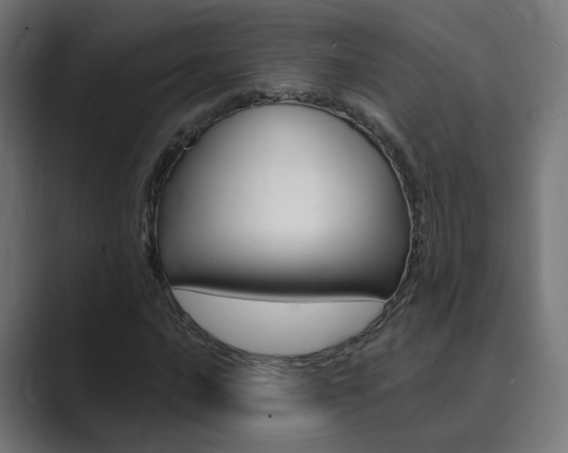 X0000089941016200706290811