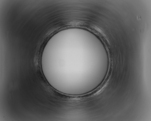 X0000089941017200706290811