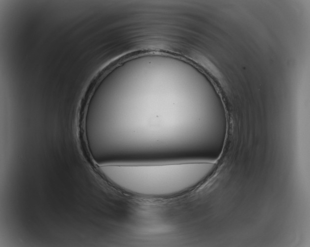 X0000089941020200706290811
