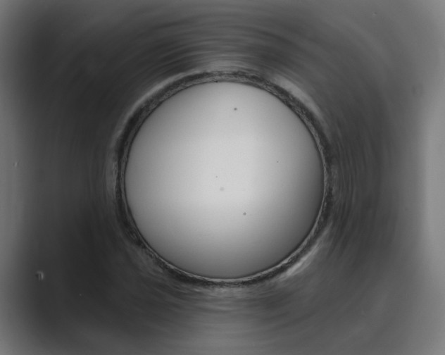 X0000089941021200706290811