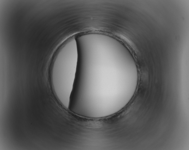 X0000089941023200706290811
