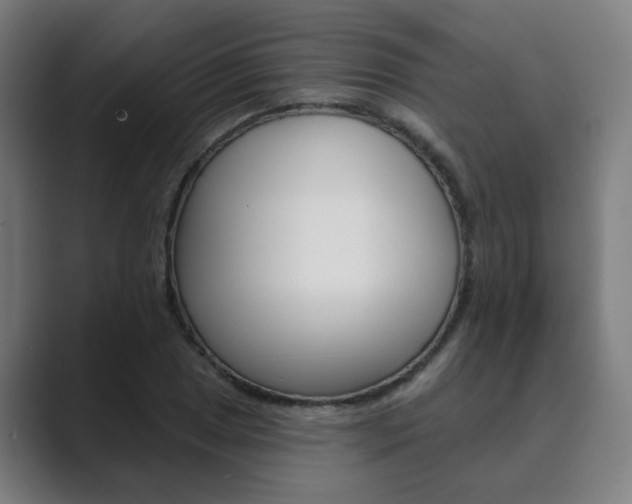 X0000089941025200706290811