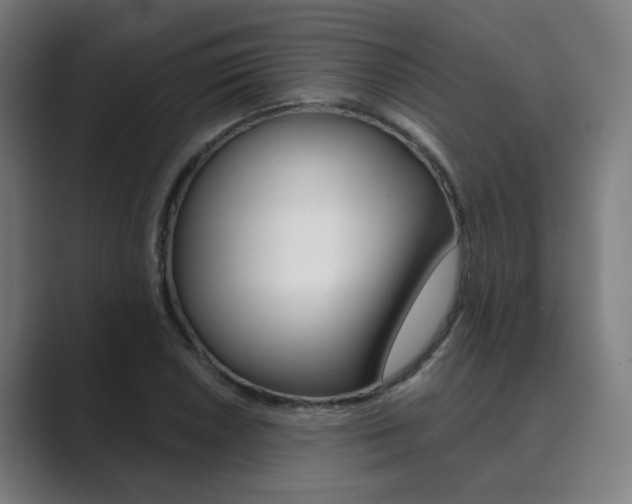 X0000089941026200706290811