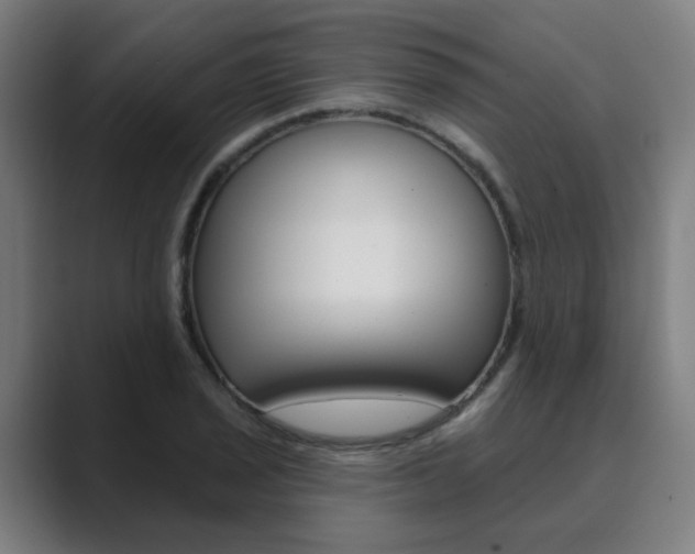 X0000089941029200706290811