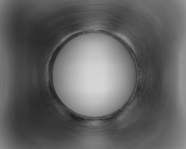 X0000089941031200706290811