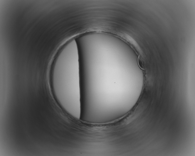 X0000089941035200706290811