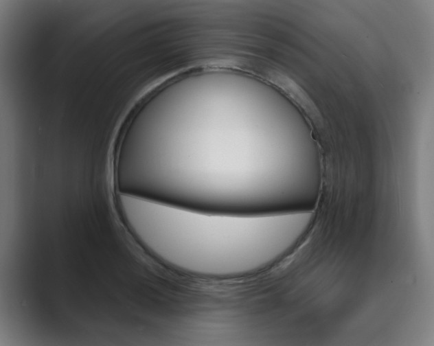 X0000089941036200706290811