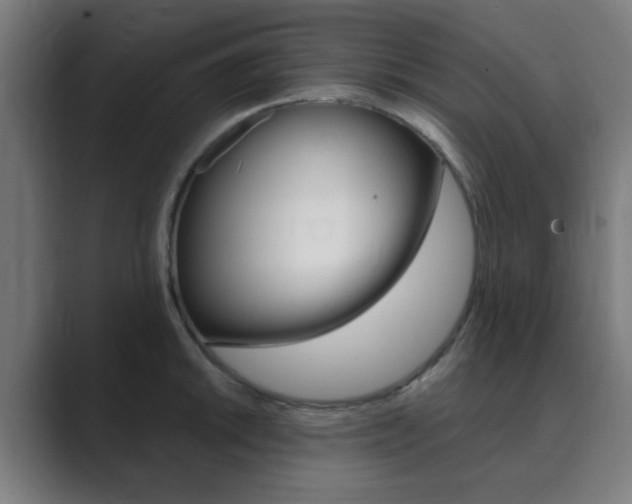 X0000089941046200706290811