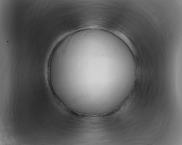X0000089941051200706290811