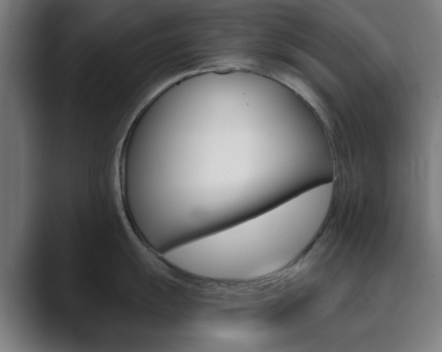 X0000089941055200706290811
