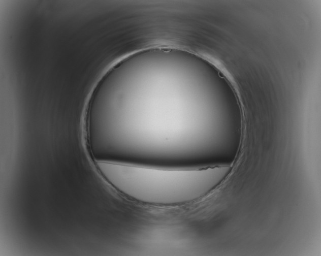 X0000089941056200706290812