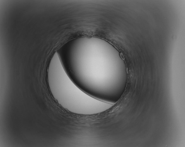 X0000089941057200706290811