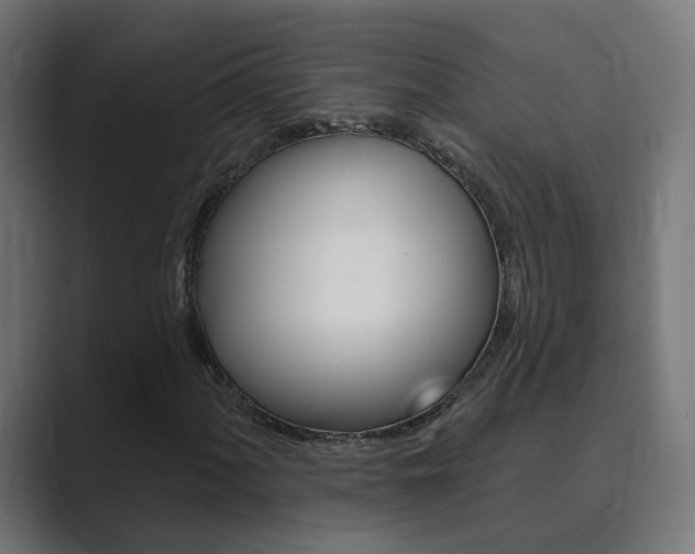 X0000089941060200706290811