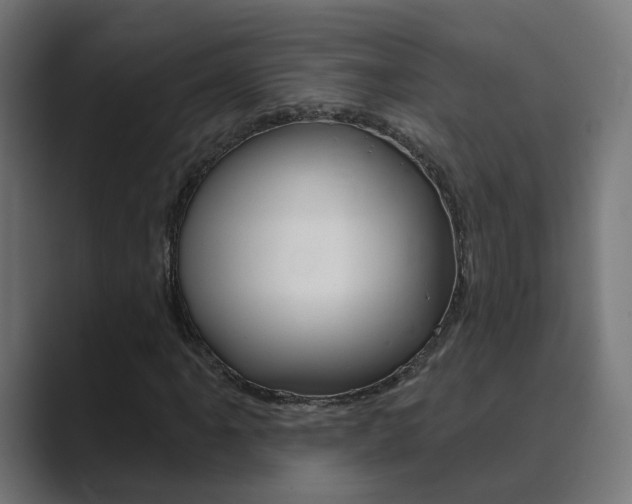 X0000089941061200706290811