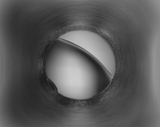 X0000089941062200706290811