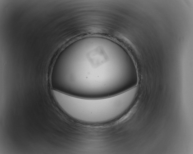 X0000089941065200706290811