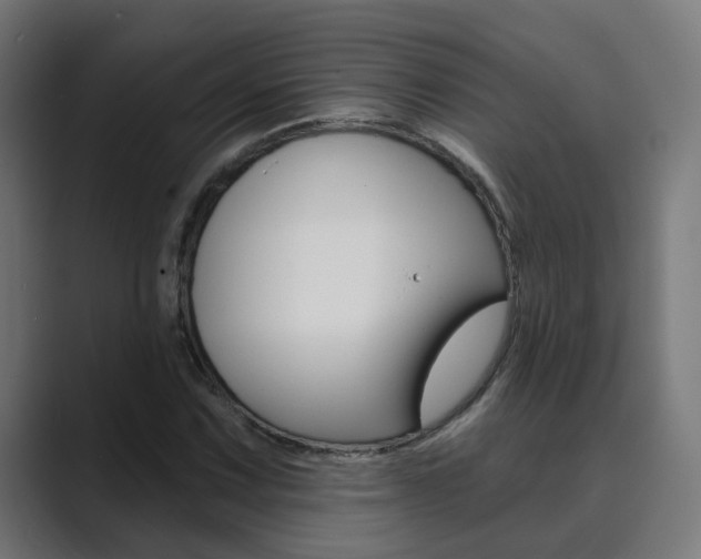 X0000089941067200706290811