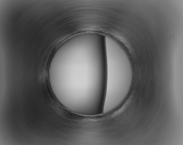 X0000089941073200706290811