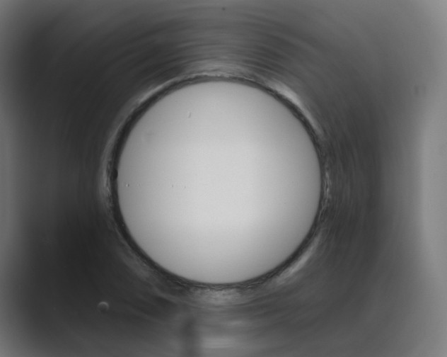 X0000089941074200706290811